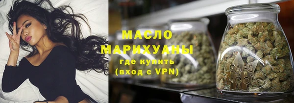 дживик Бородино