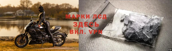 дживик Бородино