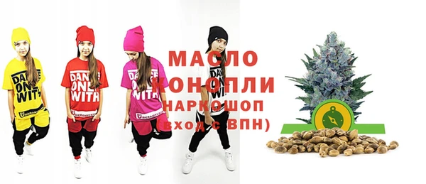 дживик Бородино