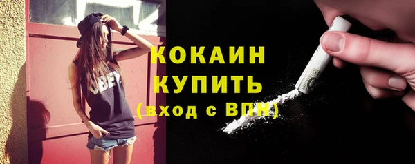 дживик Бородино