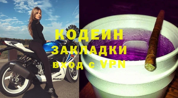 дживик Бородино