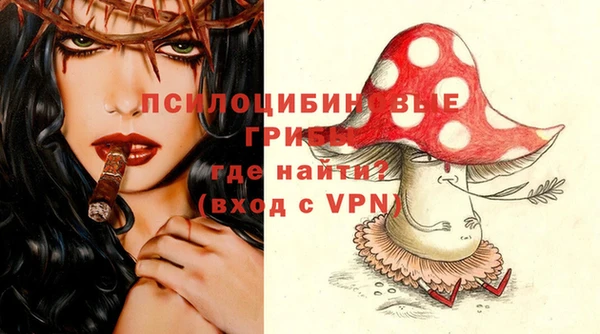 гашик Бугульма
