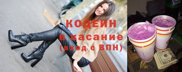 дживик Бородино